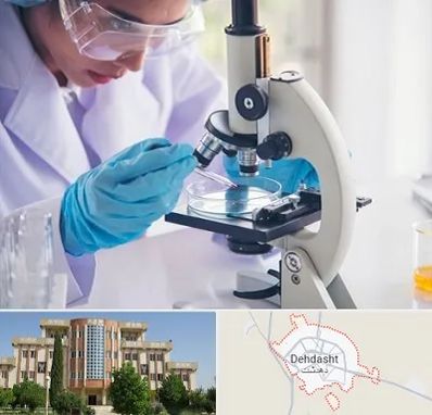 آزمایشگاه در دهدشت