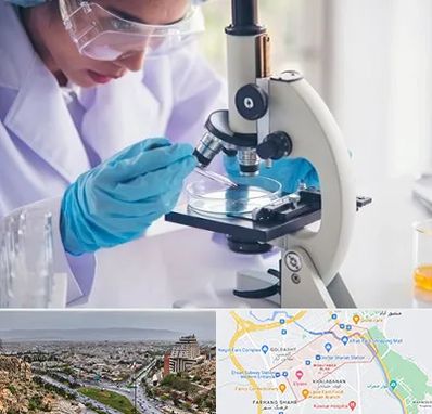 آزمایشگاه در معالی آباد شیراز