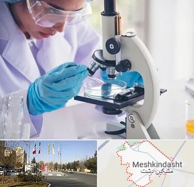 آزمایشگاه در مشکین دشت