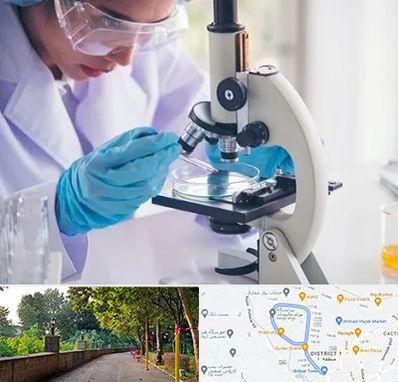 آزمایشگاه در فلکه گاز رشت