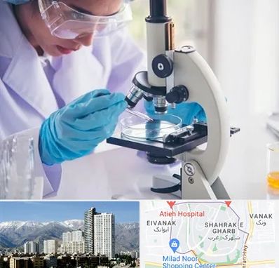 آزمایشگاه در شهرک غرب