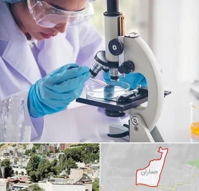 آزمایشگاه در جماران