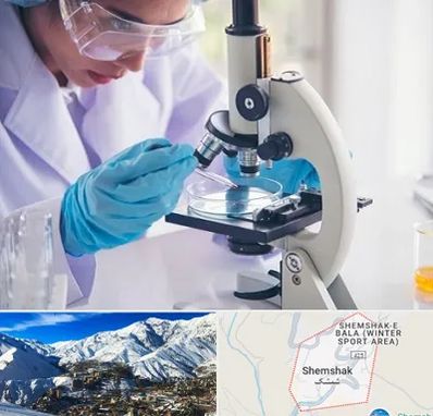آزمایشگاه در شمشک