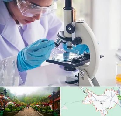 آزمایشگاه در فومن