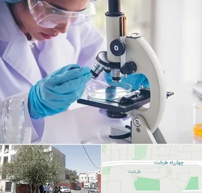 آزمایشگاه در طرشت