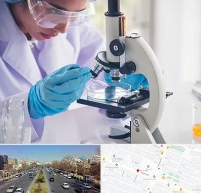آزمایشگاه در بلوار معلم مشهد