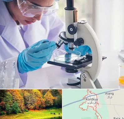 آزمایشگاه در کردکوی