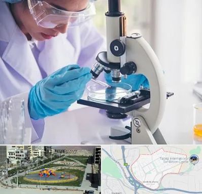 آزمایشگاه در مرزداران تبریز