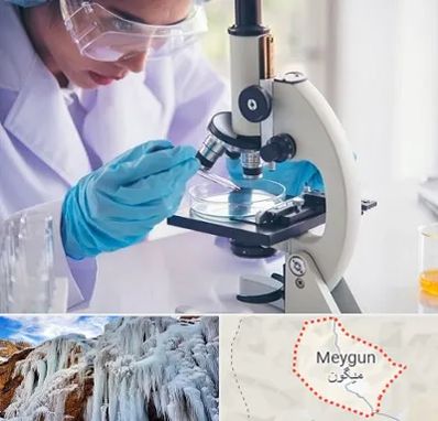 آزمایشگاه در میگون