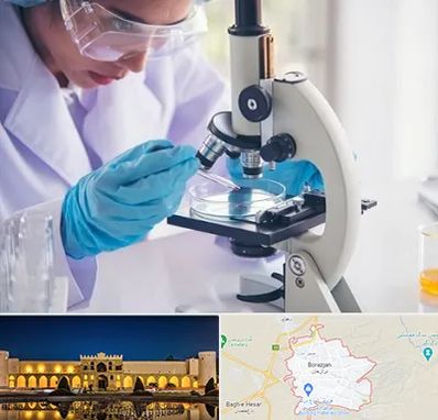 آزمایشگاه در برازجان