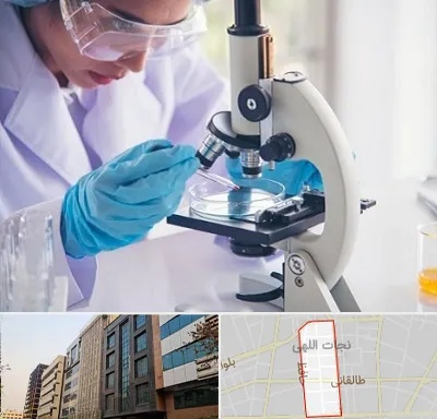آزمایشگاه در نجات اللهی