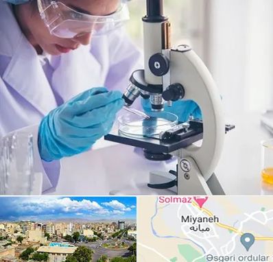 آزمایشگاه در میانه