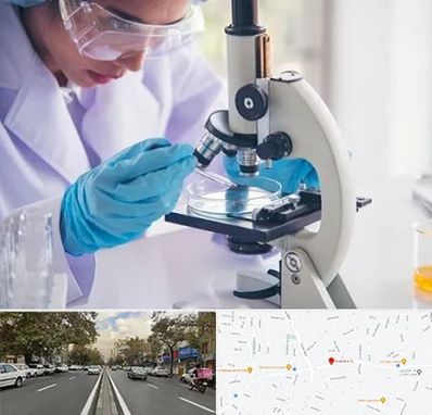 آزمایشگاه در دولت