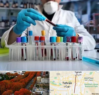 آزمایشگاه خون در ولیعصر