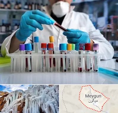 آزمایشگاه خون در میگون