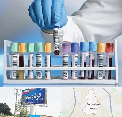 آزمایشگاه شبانه روزی در فردوسیه شهریار