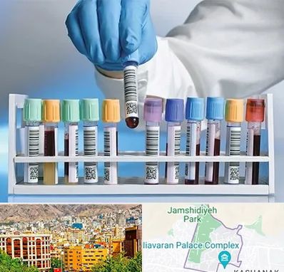 آزمایشگاه شبانه روزی در نیاوران