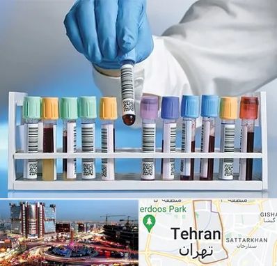 آزمایشگاه شبانه روزی در صادقیه