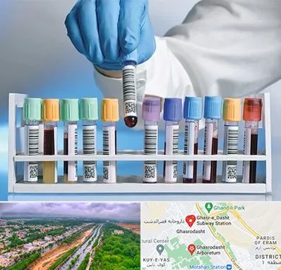 آزمایشگاه شبانه روزی در قصرالدشت شیراز