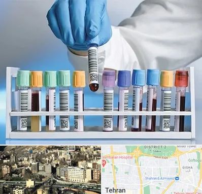 آزمایشگاه شبانه روزی در مرزداران