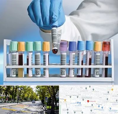 آزمایشگاه شبانه روزی در میرداماد