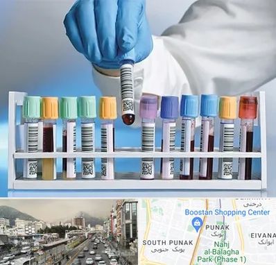 آزمایشگاه شبانه روزی در پونک