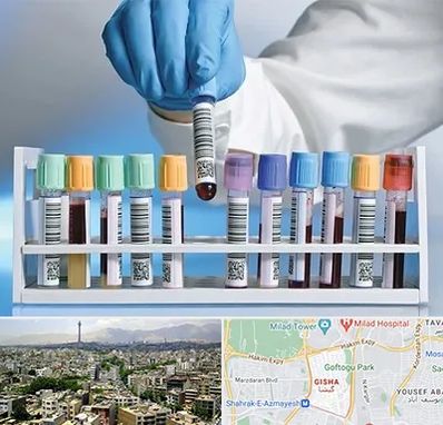 آزمایشگاه شبانه روزی در گیشا