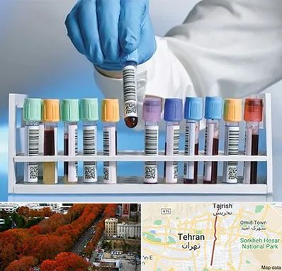 آزمایشگاه شبانه روزی در ولیعصر