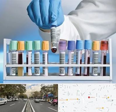 آزمایشگاه شبانه روزی در دولت