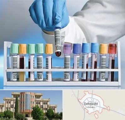 آزمایشگاه شبانه روزی در دهدشت