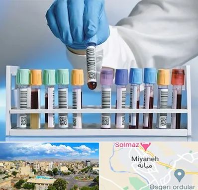 آزمایشگاه شبانه روزی در میانه