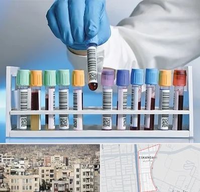 آزمایشگاه شبانه روزی در اسکندری