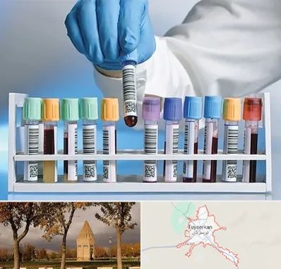 آزمایشگاه شبانه روزی در تویسرکان