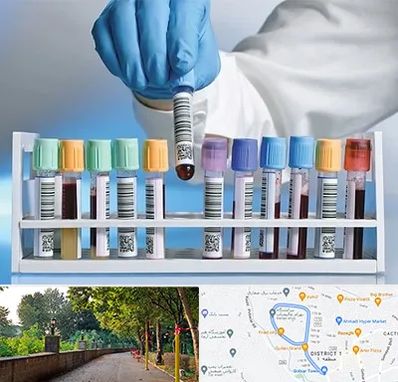 آزمایشگاه شبانه روزی در بلوار گیلان رشت