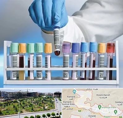 آزمایشگاه شبانه روزی در پردیس