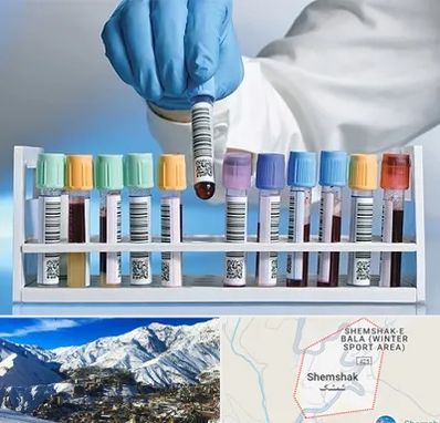 آزمایشگاه شبانه روزی در شمشک