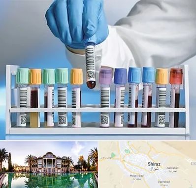 آزمایشگاه شبانه روزی در شیراز