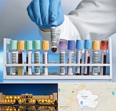 آزمایشگاه شبانه روزی در برازجان