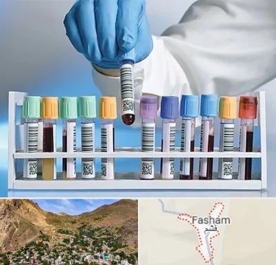 آزمایشگاه شبانه روزی در فشم