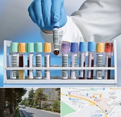 آزمایشگاه شبانه روزی در مهرویلا کرج