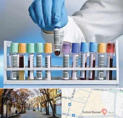 آزمایشگاه شبانه روزی در تربیت تبریز