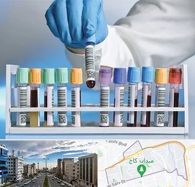 آزمایشگاه شبانه روزی در سعادت آباد