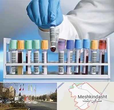 آزمایشگاه شبانه روزی در مشکین دشت