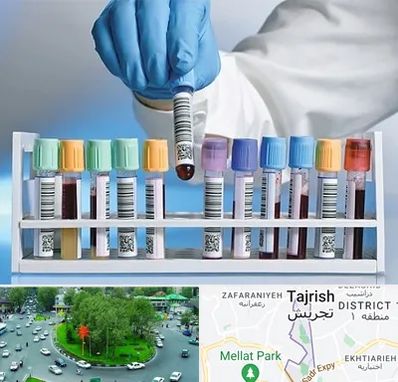 آزمایشگاه شبانه روزی در تجریش