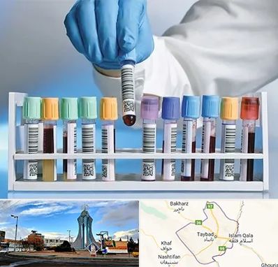 آزمایشگاه شبانه روزی در تایباد