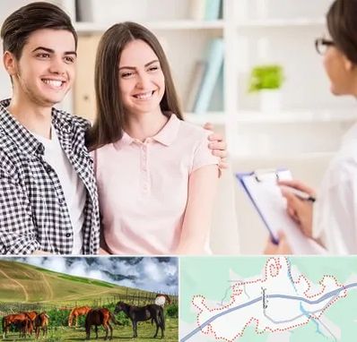 مشاور قبل ازدواج در تالش