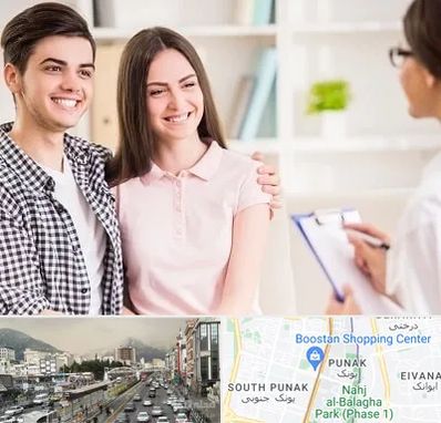 مشاور قبل ازدواج در پونک