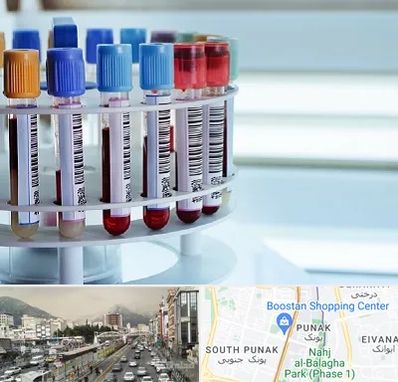 آزمایشگاه ژنتیک در پونک