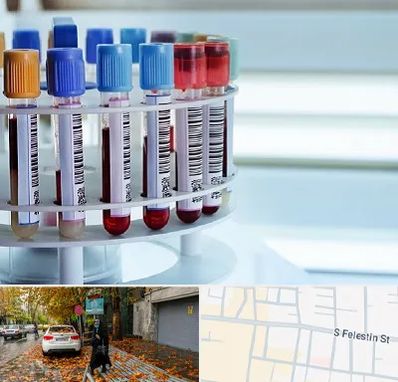 آزمایشگاه ژنتیک در خیابان فلسطین