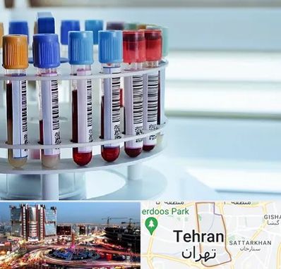 آزمایشگاه ژنتیک در صادقیه